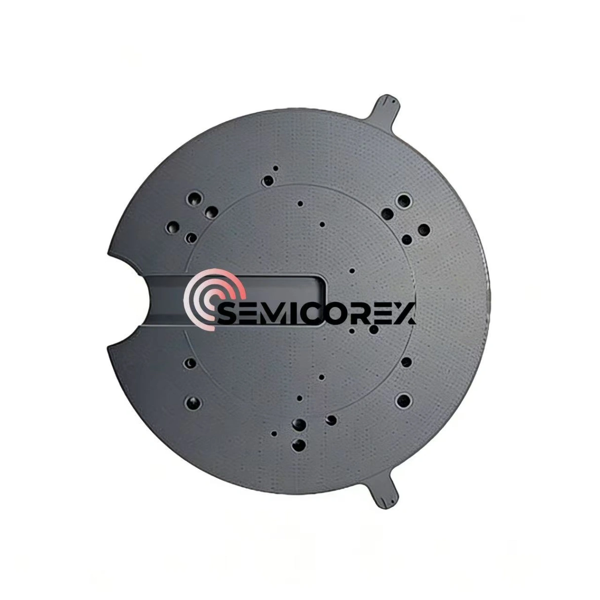 Silicon Carbide Pin Chucks